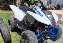 Cuatris y UTVs - Otra marca Brava aventura 250 2014  3000Km - En Venta