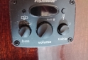 Instrumentos Musicales - Guitarra electroac�stica Fender - En Venta