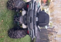 Cuatris y UTVs - CF Cforce 2022  380Km - En Venta