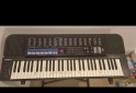 Instrumentos Musicales - TECLADO CASIO TONE BANK CT-670 - En Venta