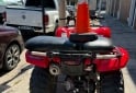 Cuatris y UTVs - Honda 420 2010  1554Km - En Venta