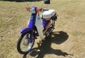 Motos - Honda Econo power 1997 Nafta 40000Km - En Venta