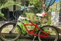 Deportes - Bicicleta RALEIGH Ni�o rodado 20 - En Venta