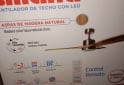 Hogar - Ventilador de techo LILIANA - En Venta