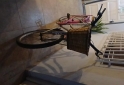 Deportes - Bicicleta urbana con canasto � - En Venta