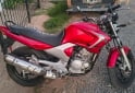 Motos - Yamaha YBR 250 2008 Nafta 37700Km - En Venta