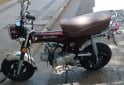 Motos - Zanella Hot 90 2024 Nafta 1600Km - En Venta