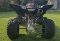 Cuatris y UTVs - Yamaha Raptor 700 R 2008 11111Km - En Venta