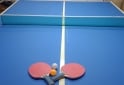 Deportes - Mesa de pool medidas profesional y ping pong casi sin uso - En Venta