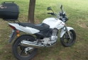 Motos - Honda Twister 2014 Nafta 18526Km - En Venta