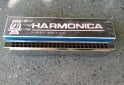 Instrumentos Musicales - Armonica - En Venta