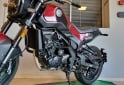 Motos - Benelli LEONCINO 25O 2021 Nafta 12426Km - En Venta