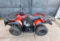 Cuatris y UTVs - Zanella Gforce 2016 900Km - En Venta