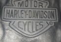 Indumentaria - Campera de cuero vacuno Harley davidson - En Venta