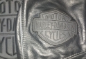 Indumentaria - Campera de cuero vacuno Harley davidson - En Venta