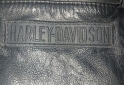 Indumentaria - Campera de cuero vacuno Harley davidson - En Venta