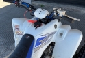 Cuatris y UTVs - Yamaha Raptor 2006  111111Km - En Venta