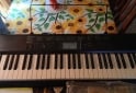 Instrumentos Musicales - Piano casio ctk 1100 - En Venta