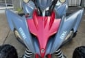 Cuatris y UTVs - Honda RAPTOR 2008  1111Km - En Venta