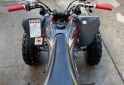 Cuatris y UTVs - Honda RAPTOR 2008  1111Km - En Venta