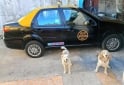 Autos - Fiat SIENA EL 2013 GNC 270000Km - En Venta