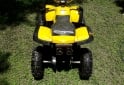 Cuatris y UTVs - Otra marca cuatri 2018  100Km - En Venta