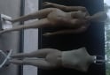 Indumentaria - MANIQUIES - En Venta