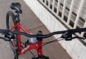 Deportes - SPORT MOTO:  BICICLETA MOUNTAIN BIKE RODADO 29.  MARCA: BATTLE. MODELO: 210. CON 21 VELOCIDADES SHIMANO 105   CUADRO DE ALUMINIO TALLE: 20 - En Venta