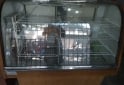 Otros - Heladera gastron�mica - En Venta