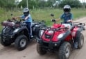 Cuatris y UTVs - Zanella GFORCE 250 2010  5000Km - En Venta