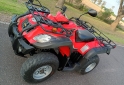 Cuatris y UTVs - Zanella GFORCE 250 2010 6500Km - En Venta