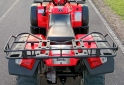 Cuatris y UTVs - Zanella GFORCE 250 2010 6500Km - En Venta