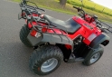 Cuatris y UTVs - Zanella GFORCE 250 2010 6500Km - En Venta