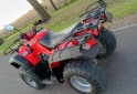 Cuatris y UTVs - Zanella GFORCE 250 2010 6500Km - En Venta