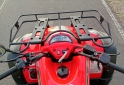Cuatris y UTVs - Zanella GFORCE 250 2010 6500Km - En Venta