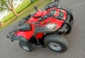 Cuatris y UTVs - Zanella GFORCE 250 2010 6500Km - En Venta