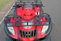 Cuatris y UTVs - Zanella GFORCE 250 2010 6500Km - En Venta