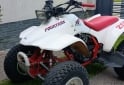 Cuatris y UTVs - Honda Fourtrax 1992  1Km - En Venta