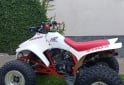Cuatris y UTVs - Honda Fourtrax 1992  1Km - En Venta