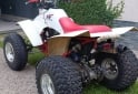Cuatris y UTVs - Honda Fourtrax 1992  1Km - En Venta