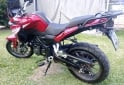 Motos - Benelli TRK 251 2023 Nafta 18300Km - En Venta