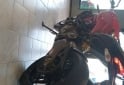 Motos - Ducati Monster 821 2017 Nafta 17000Km - En Venta