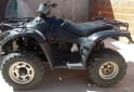 Cuatris y UTVs - Otra marca ATV 300 2014  111Km - En Venta