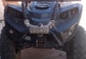 Cuatris y UTVs - Otra marca ATV 300 2014  111Km - En Venta