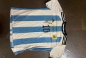 Indumentaria - Camiseta firmada x messi y scaloni - En Venta