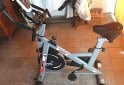 Deportes - Bicicleta Spinning Randers ARG-874SP-R - En Venta