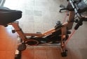 Deportes - Bicicleta Spinning Randers ARG-874SP-R - En Venta