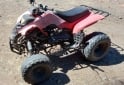 Cuatris y UTVs - Panther WR 150 cc 2009  111111Km - En Venta
