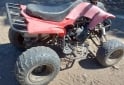 Cuatris y UTVs - Panther WR 150 cc 2009  111111Km - En Venta