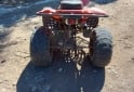 Cuatris y UTVs - Panther WR 150 cc 2009  111111Km - En Venta